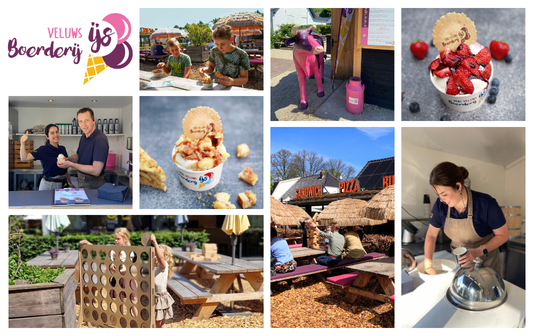 collage ijspaleis website